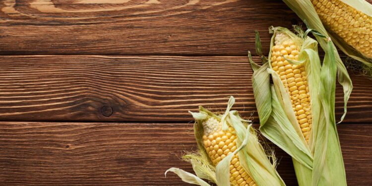 O Milho e Seus Segredos: Da Roça à Revolução Global