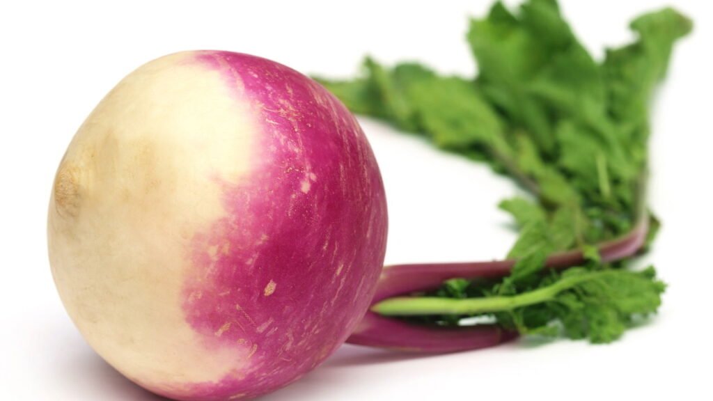 Guia Definitivo para o Cultivo de Nabo