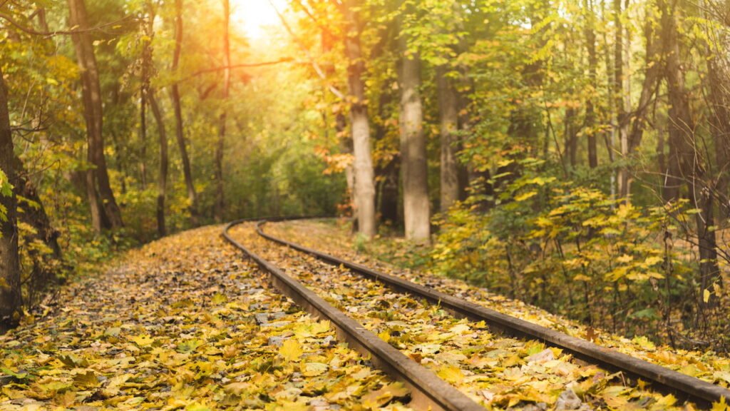 Saiba o que esperar do outono, que começa esta semana
