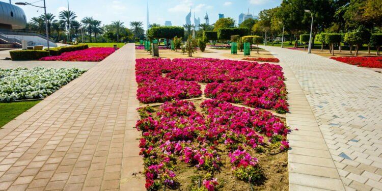 O que as florestas de bolso podem ensinar sobre sustentabilidade urbana