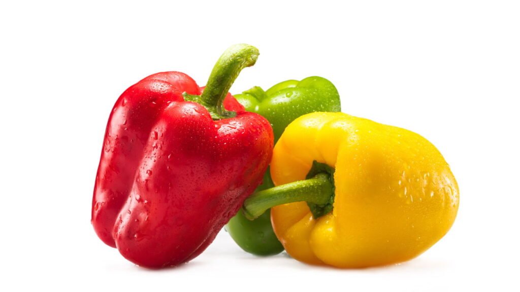 Aprenda a plantar pimentão com dicas essenciais para uma colheita perfeita