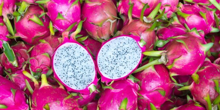Transforme seu quintal com o cultivo da pitaya, uma fruta cheia de benefícios