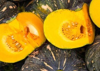 Dicas práticas para um bom cultivo de morangas em casa