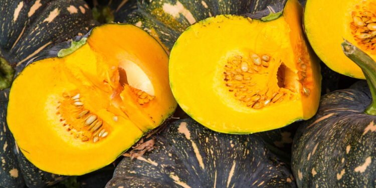 Dicas práticas para um bom cultivo de morangas em casa