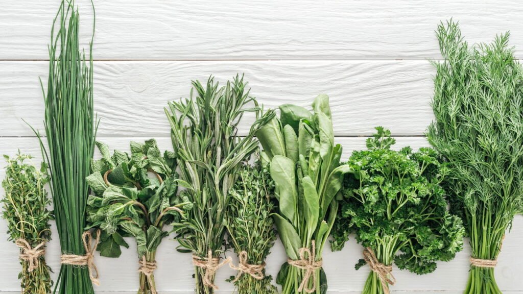 Uma dieta para você que ama plantas! Suas refeições do dia a dia irão melhorar com essas dicas!