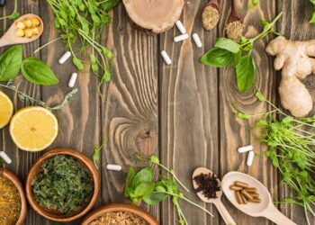 Como cultivar importantes ervas medicinais em casa?