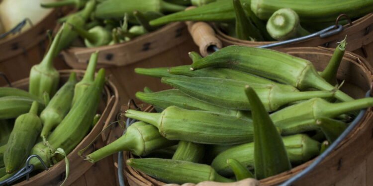 Como colher quiabo na hora certa e evitar a formação de fiapos