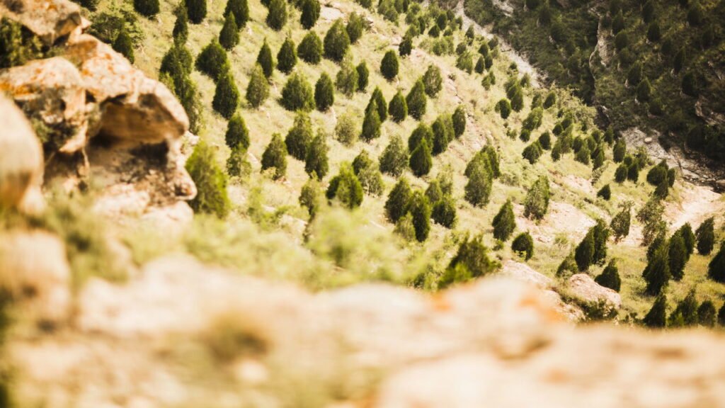 O movimento que está mudando a forma de cuidar do meio ambiente