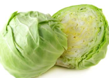 Como plantar repolho e colher cabeças grandes e saudáveis