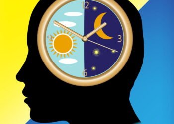 O ciclo de 24h que todos têm e seus corpos, mas quase ninguém sabe!