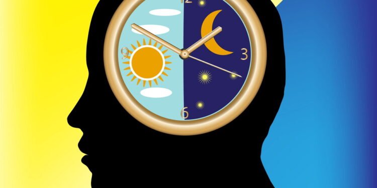 O ciclo de 24h que todos têm e seus corpos, mas quase ninguém sabe!