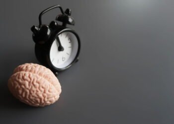 Cinco suplementações acessíveis para melhorar a sua memória