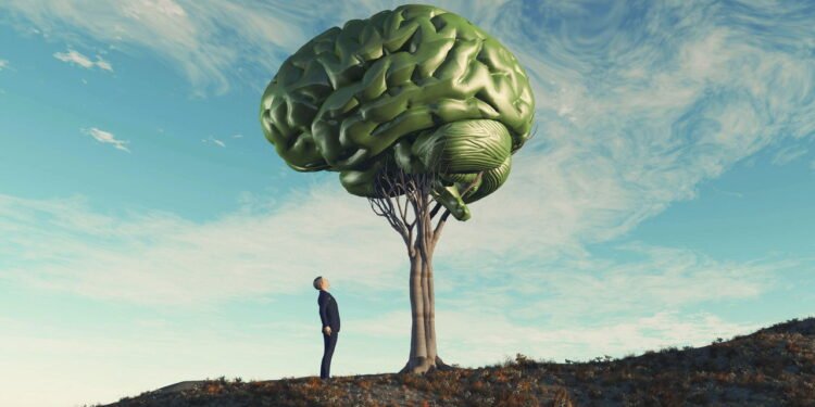 A natureza pode ser uma importante aliada para sua mente e você talvez nem saiba!