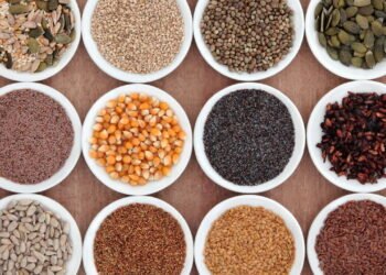 Aprenda armazenar sementes para garantir um plantio saudável e produtivo