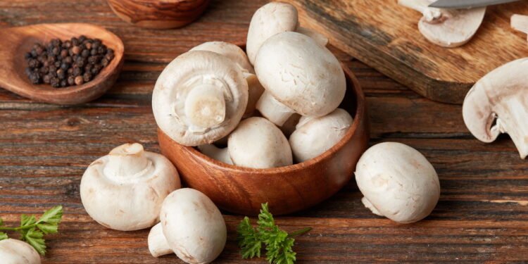 Como cultivar cogumelos shimeji em casa corretamente?