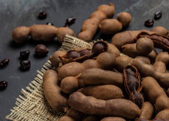 Como cultivar tamarindo com sucesso em qualquer espaço