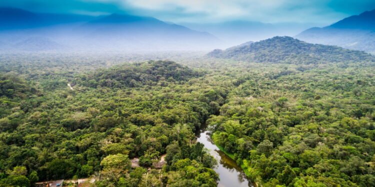 Essa cidade amazônica é exemplo mundial de turismo comunitário sustentável