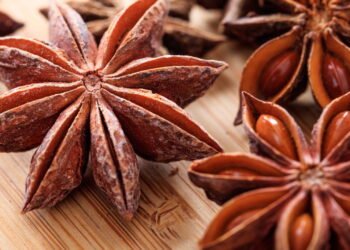 Como fazer do anis-estrelado seu aliado contra estresse e inchaço