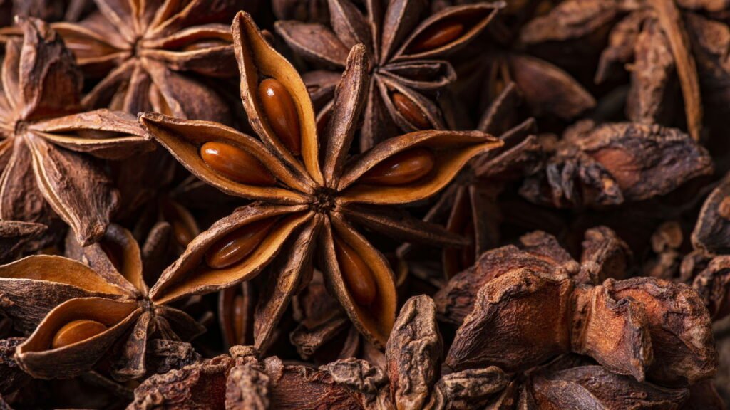 Aprenda a plantar anis-estrelado e tenha essa especiaria em casa
