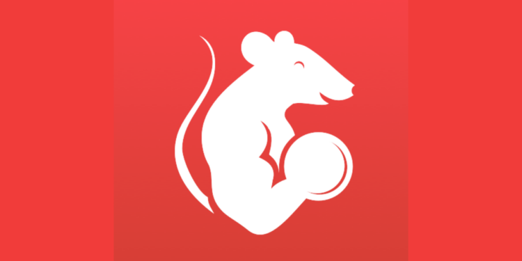 'Duolingo, só que fitness' novo aplicativo está motivando treinos!