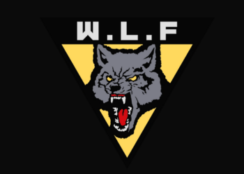 O que é a WLF em The Last of Us?