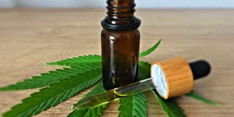 Canabidiol pode reduzir sintomas de burnout, aponta estudo // Reprodução:
Faculdade de Medicina de Ribeirão Preto
(USP)