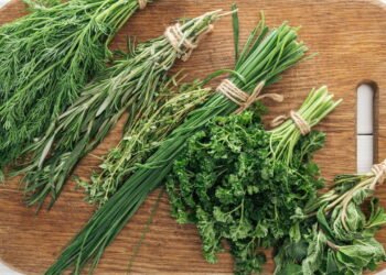 Horta Aromática em Casa: Cultive Sabor, Saúde e Praticidade