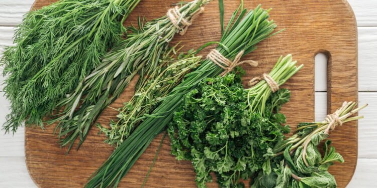 Horta Aromática em Casa: Cultive Sabor, Saúde e Praticidade