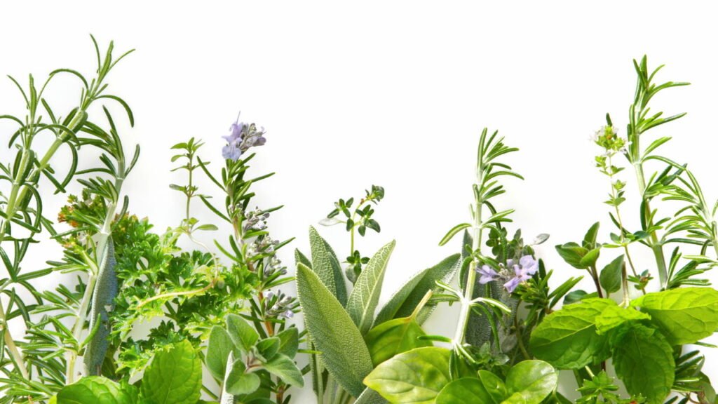 Horta Aromática em Casa: Cultive Sabor, Saúde e Praticidade