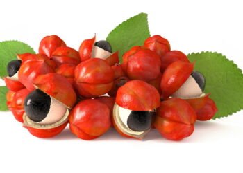 Como o Guaraná pode auxiliar no emagrecimento e como plantá-lo?