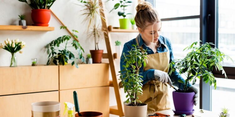 Comece Sua Horta em Casa com Facilidade