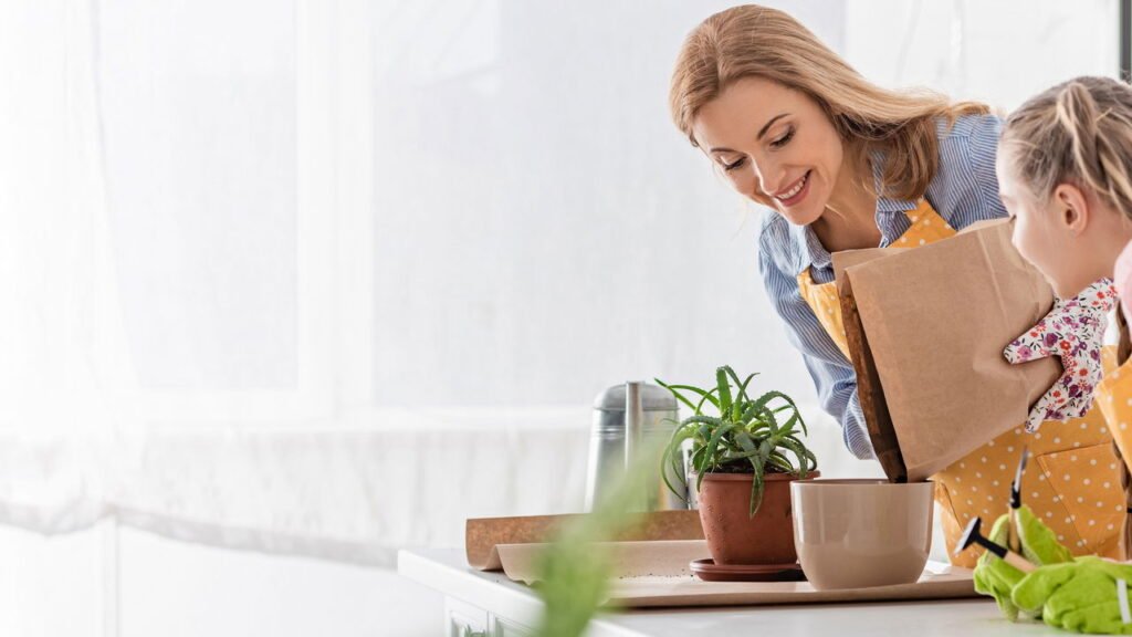 Comece Sua Horta em Casa com Facilidade"


