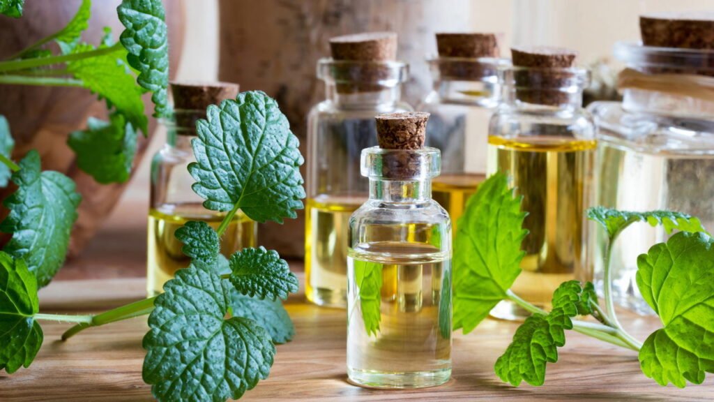 Pessoas ansiosas podem se tornar mais calmas ao consumirem este incrível chá