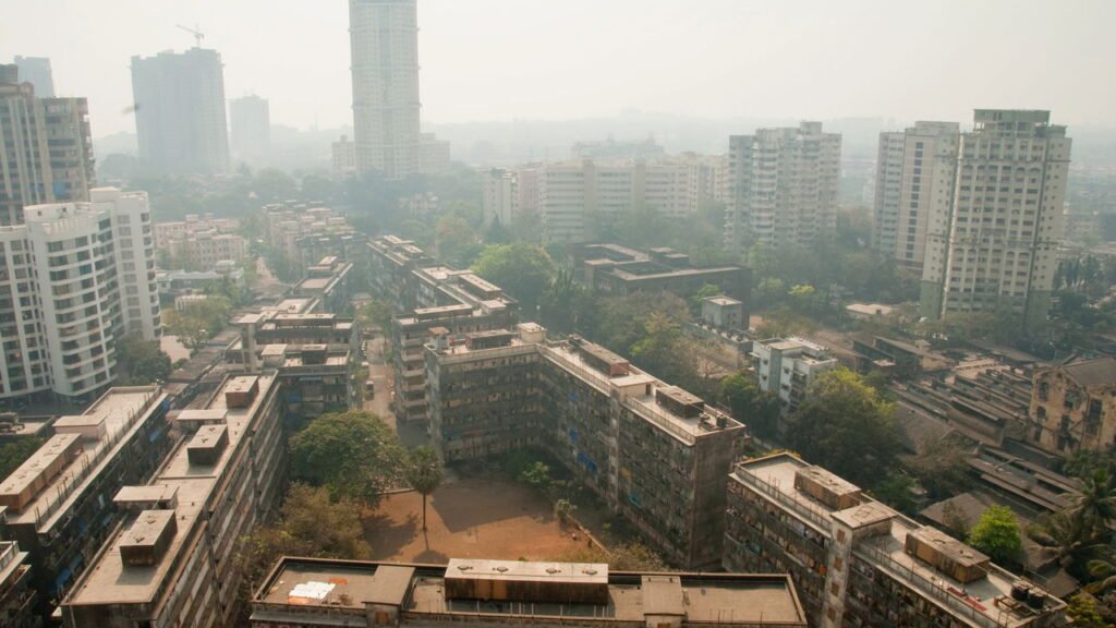 Conheça a cidade onde moradores sinalizam buracos nas ruas com flores