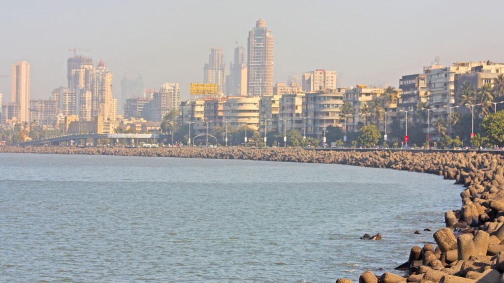 Conheça a cidade onde moradores cultivam plantas nos telhados dos ônibus
