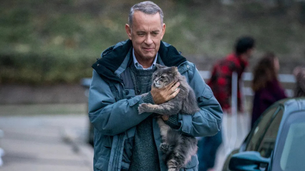 O drama leve e tocante que você não sabia que precisava ver