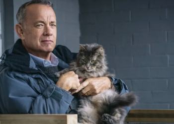 O drama leve e tocante que você não sabia que precisava ver