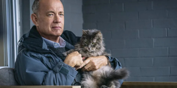 O drama leve e tocante que você não sabia que precisava ver