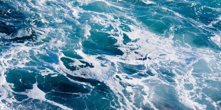 Os Oceanos da Terra: Transformações entre o Verde e o Azul