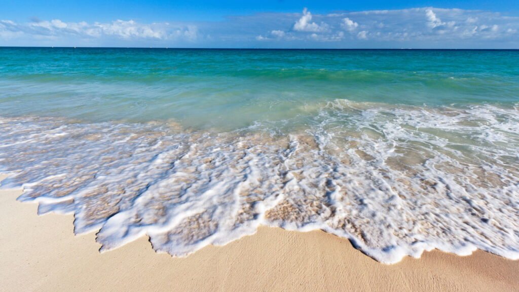 Os Oceanos da Terra: Transformações entre o Verde e o Azul