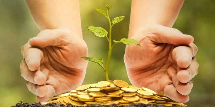 Se esta planta cresce no seu jardim, você tem um tesouro para a saúde