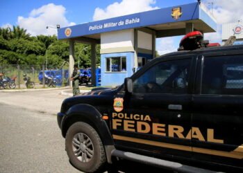 Veja as especialidades aceitas para o concurso de Perito Criminal da Polícia Federal