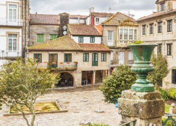 Conheça a cidade onde árvores são plantadas no lugar dos carros