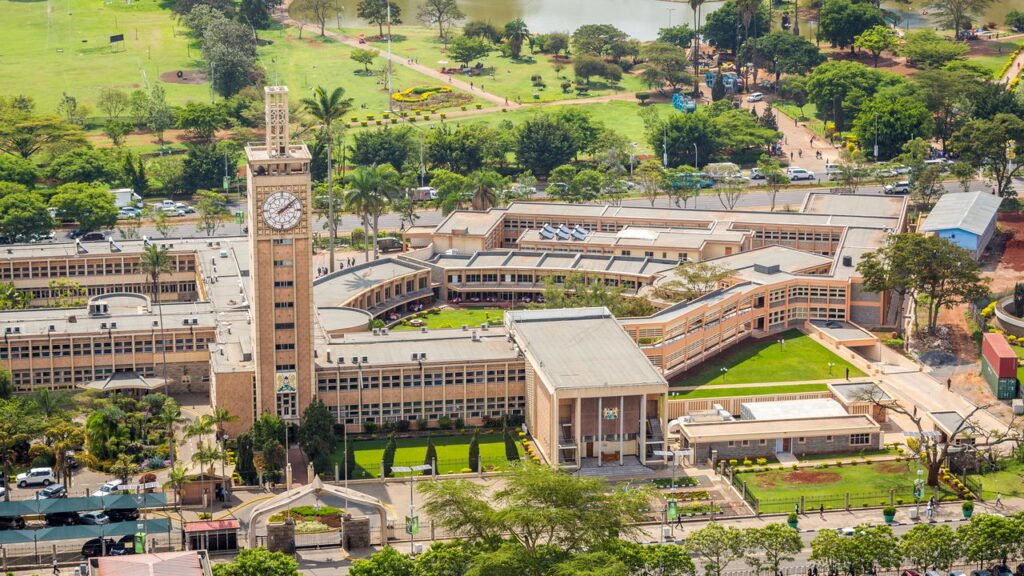 Conheça a cidade onde moradores usam bicicletas adaptadas como ambulância