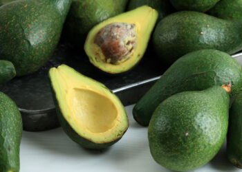 Dicas para plantar e cuidar de abacate em vaso de forma fácil