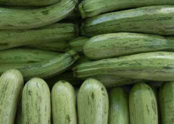 Como plantar abobrinha em casa mesmo com pouco espaço