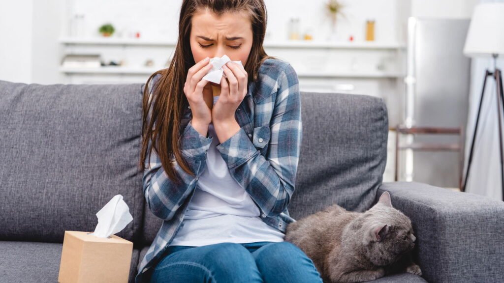 Alergias podem surgir na idade adulta? Veja detalhes