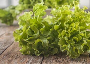 Veja como plantar alface em garrafa pet e economizar na feira