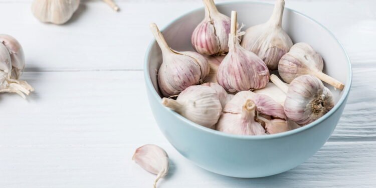 Como plantar alho em casa e evitar comprar no mercado