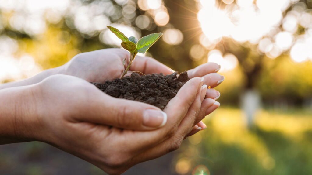 Litoral brasileiro fica ameaçado pelo nível do mar, entenda